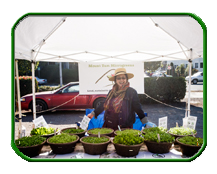 MicroGreens Business