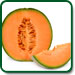 Non GMO Hale's Best Cantaloup