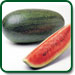 Non GMO Jubilee Watermelon
