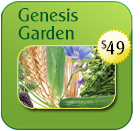 Genesis Garden