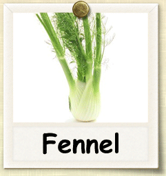 Non-Hybrid Fennel Seed - Seeds of Life