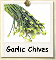Open-Pollinated Garlic Chives Seed - Seeds of Life