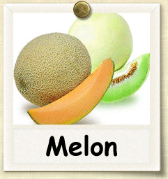 Non-Hybrid Melon Seed - Seeds of Life
