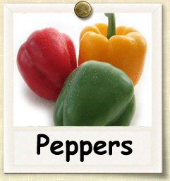 Non-Hybrid Peppers Seed - Seeds of Life