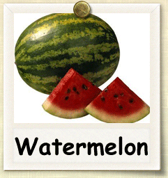 Non-Hybrid Watermelon Seed - Seeds of Life