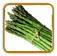 Open-Pollinated Asparagus Seed | Seeds of Life