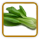 Non-Hybrid Bok Choy Seed | Seeds of Life