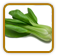 Open-Pollinated Bok Choy Seed | Seeds of Life