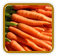 Non-Hybrid Carrot Seed | Seeds of Life