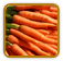 Open-Pollinated Carrot Seed | Seeds of Life