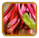 Non-Hybrid Rhubarb Seed | Seeds of Life