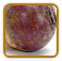 Open-Pollinated Rutabaga Seed | Seeds of Life