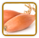 Non-Hybrid Shallot Seed | Seeds of Life
