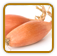 Open-Pollinated Shallot Seed | Seeds of Life