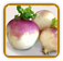 Open-Pollinated Turnip Seed | Seeds of Life