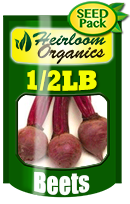 Non-GMO Beet Seeds