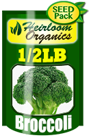 Non-GMO Broccoli Seeds