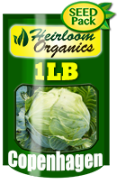 Non-GMO Copenhagen Cabbage Seeds