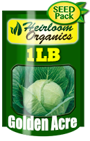 Non-GMO Golden Acre Cabbage Seeds