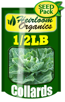 Non-GMO Collard Seeds