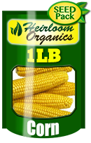 Non-GMO Corn Seeds