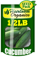 Non-GMO Cucumber Seeds