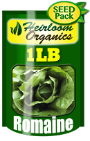 Non-GMO Romain Lettuce Seeds