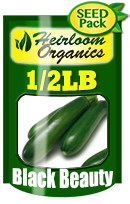 Non-GMO Black Beauty Zucchini Seeds