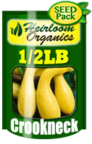 Non-GMO Golden Crookneck Squash Seeds