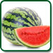 Non GMO Crimson Sweet Watermelon