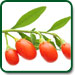 Non GMO Goji Berry