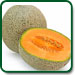 Non GMO Imperial 45 Cantaloupe