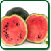 Non GMO Sugar Baby Watermelon
