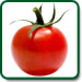 Open Pollinated Heirloom Tomato Seeds | OP Tomato Seeds - Heirloom Organics