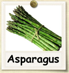 Non-Hybrid Asparagus Seed – Seeds of Life