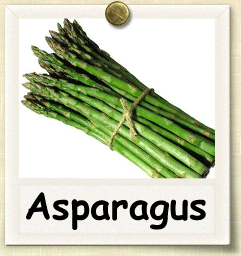 Open-Pollinated Asparagus Seed – Seeds of Life