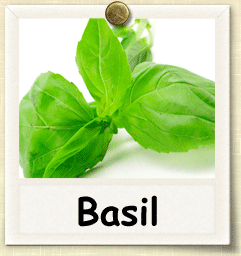 Non-Hybrid Basil Seed - Seeds of Life
