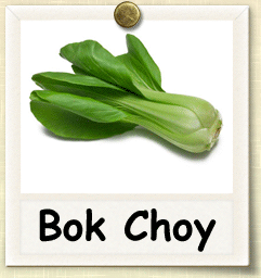 Open-Pollinated Bok Choy Seed - Seeds of Life