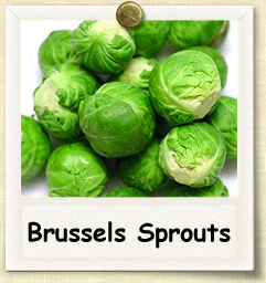 Open-Pollinated Brussels Sprouts Seed - Seeds of Life