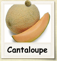 Open-Pollinated Cantaloupe Seed - Seeds of Life