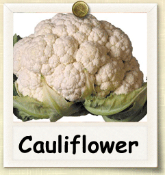 Non-Hybrid Cauliflower Seed - Seeds of Life