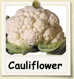 Open-Pollinated Cauliflower Seed - Seeds of Life