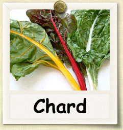 Non-Hybrid Chard Seed - Seeds of Life