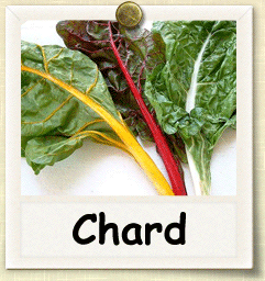 Open-Pollinated Chard Seed - Seeds of Life