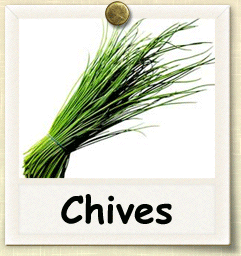 Non-Hybrid Chive Seed - Seeds of Life