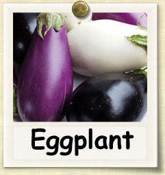 Open-Pollinated Eggplant Seed - Seeds of Life