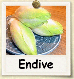 Non-Hybrid Endive Seed - Seeds of Life