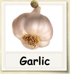 Non-Hybrid Garlic Seed - Seeds of Life