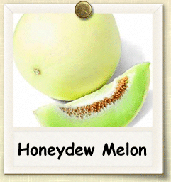 Non-Hybrid Honeydew Melon Seed - Seeds of Life