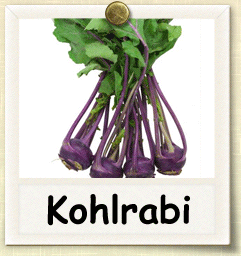 Open-Pollinated Kohlrabi Seed - Seeds of Life